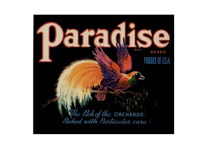 Paradise brand fruit crate label with bird of paradise