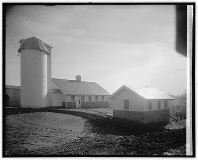 Chestnut Farms Dairy, [Washington, D.C.]