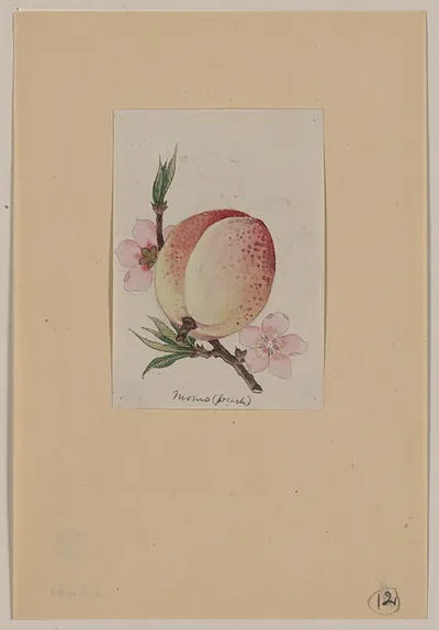 [Japanese drawing]