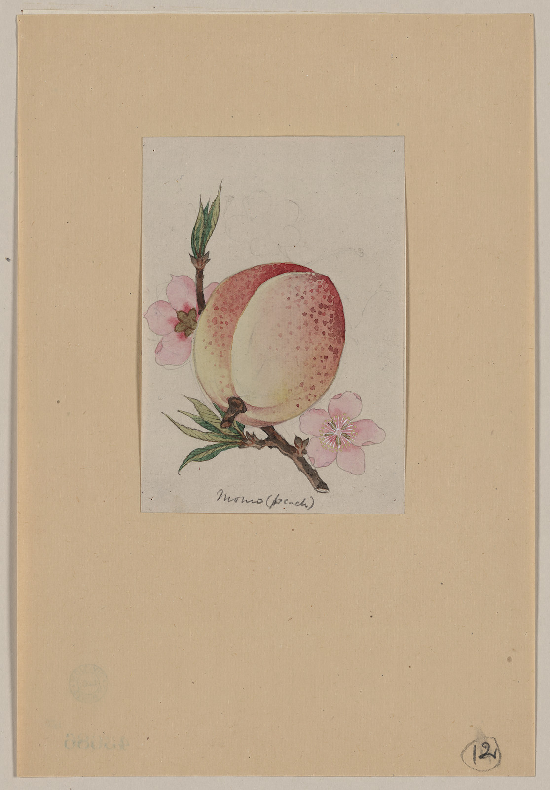 [Japanese drawing], 1750 — historic drawing