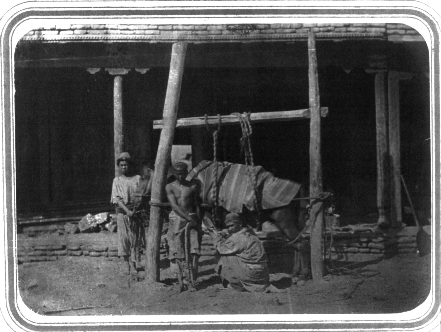 Kuznechnoe proizvodstvo. Stanok dlia kovki loshadei, [between 1865 and 1872] — historic photograph