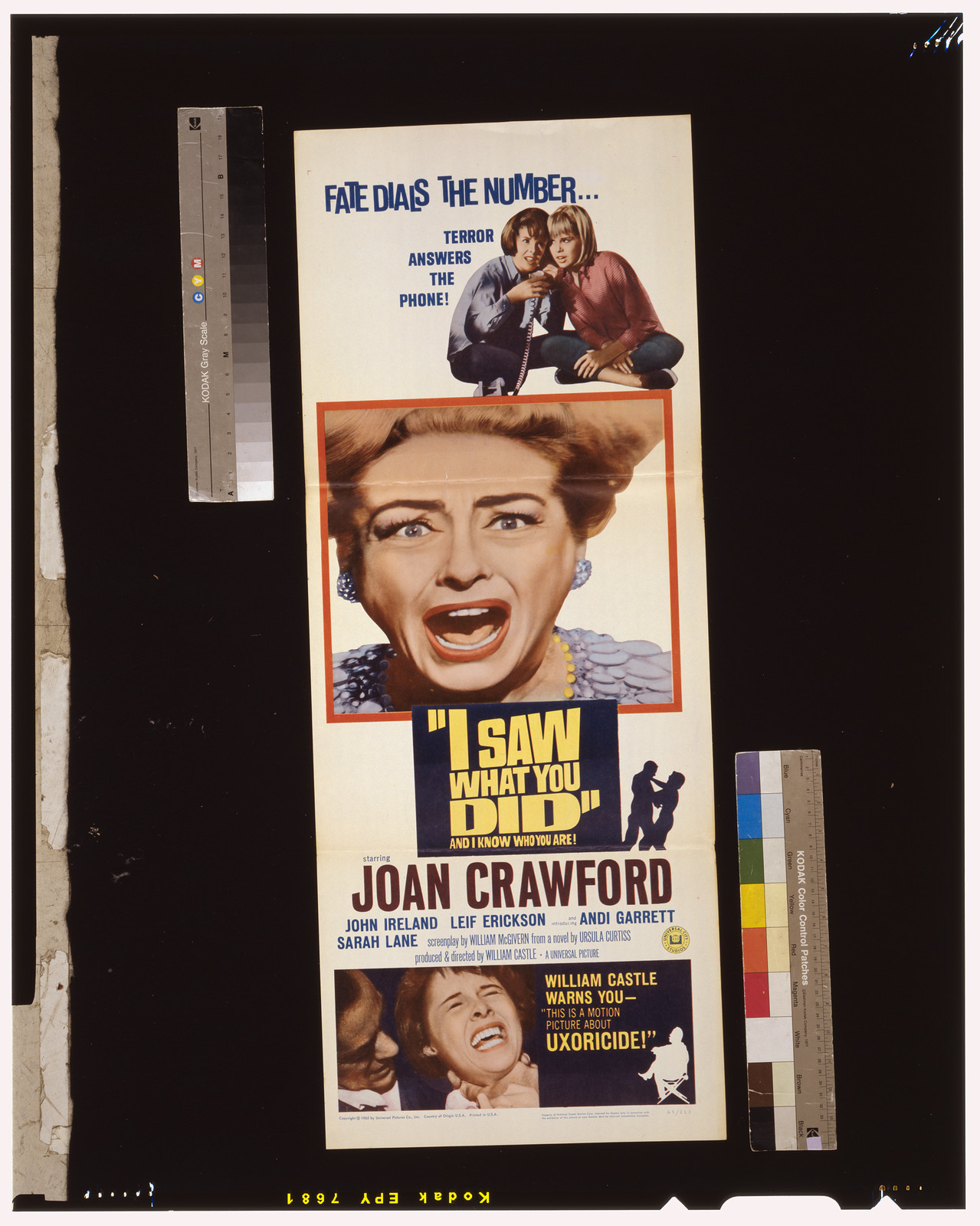 I saw what you did and I know who you are — vintage poster