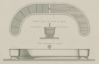 Basin for wholesale sale of freshwater fish, plan and section