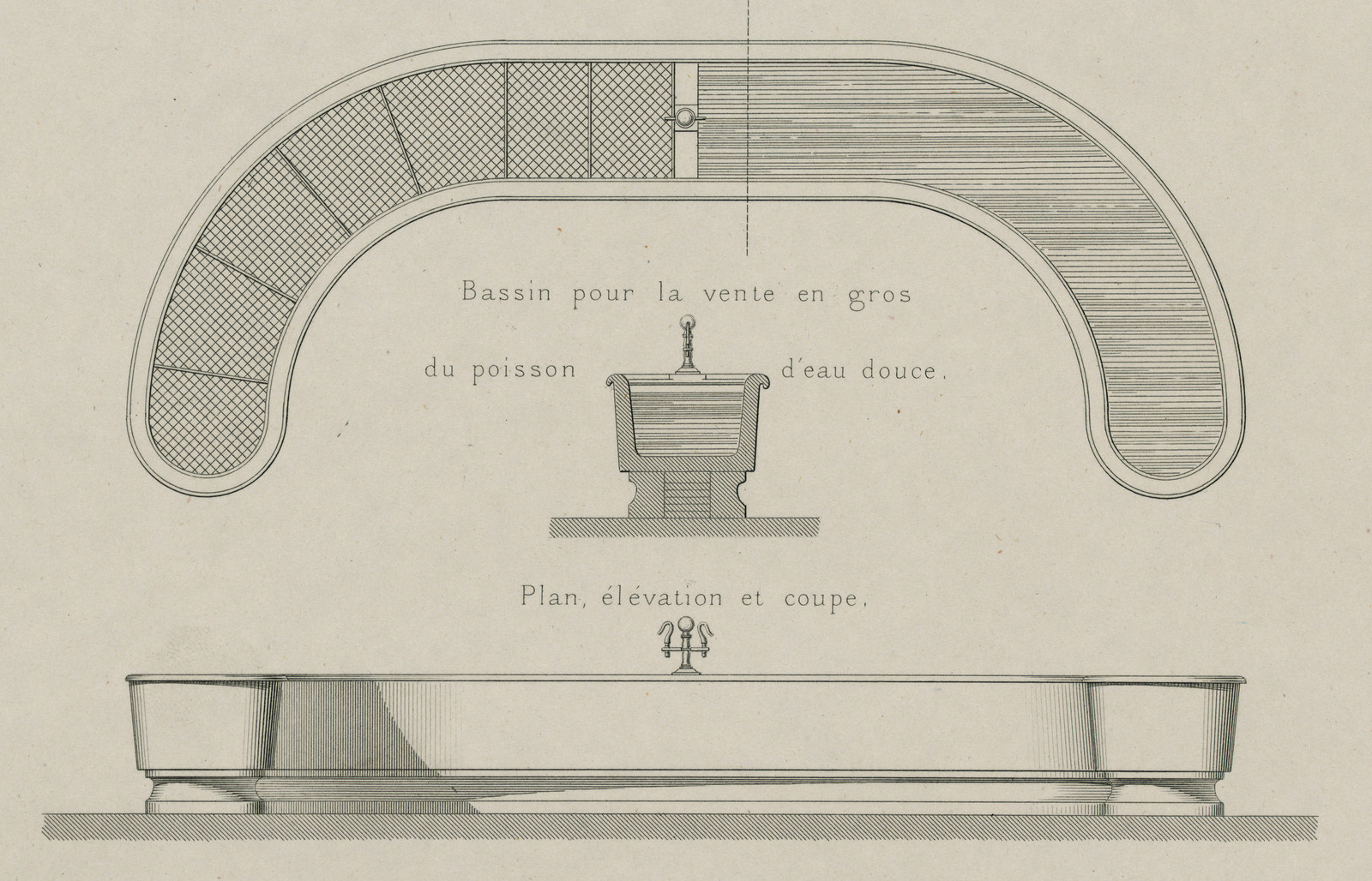 Basin for wholesale sale of freshwater fish, plan and section — historic image