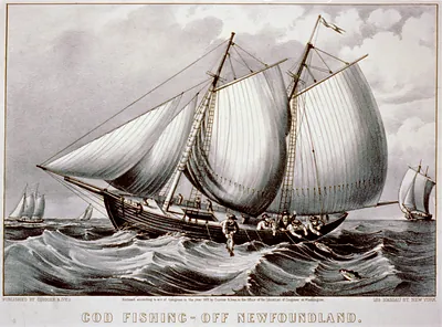 Cod fishing-off Newfoundland