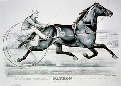 The Celebrated trotting Stallion Patron by Pancoast dam by Cuyler: Record 2:14 1/4