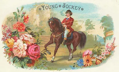 Young Jockey, rider on a brown horse, floral border