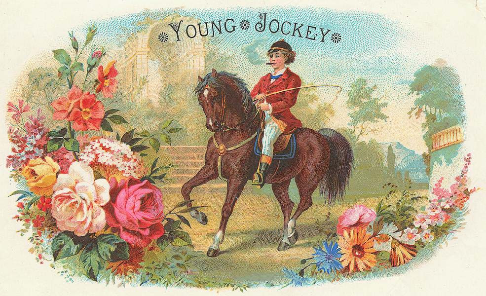 Young Jockey, rider on a brown horse, floral border — historic image