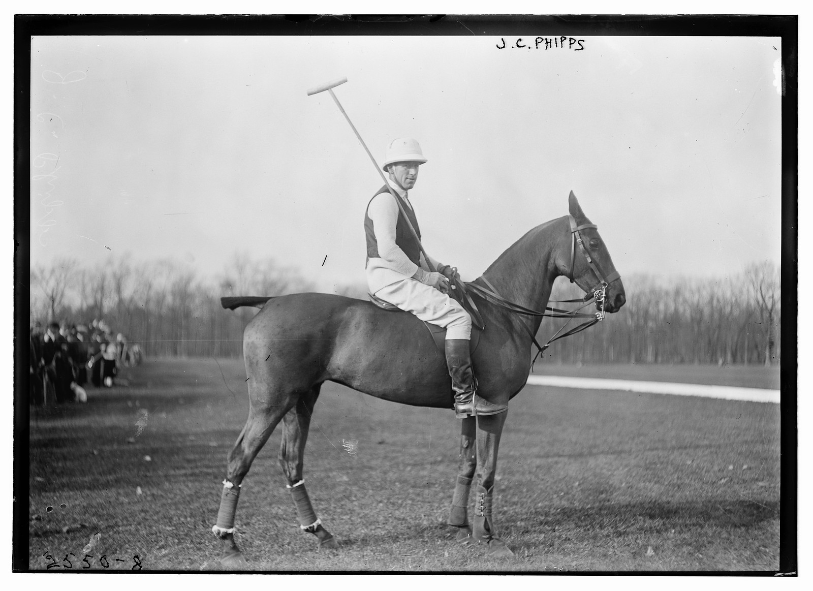 J.C. Phipps on polo pony, n/a — historic photograph