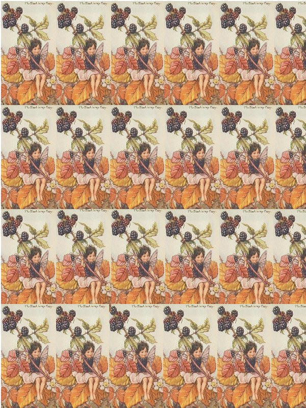 The Blackberry Fairy repeated pattern wrapping paper — historic image