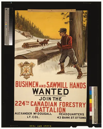Bushmen and Sawmill Hands Wanted, Join the 224th Canadian Forestry Battalion