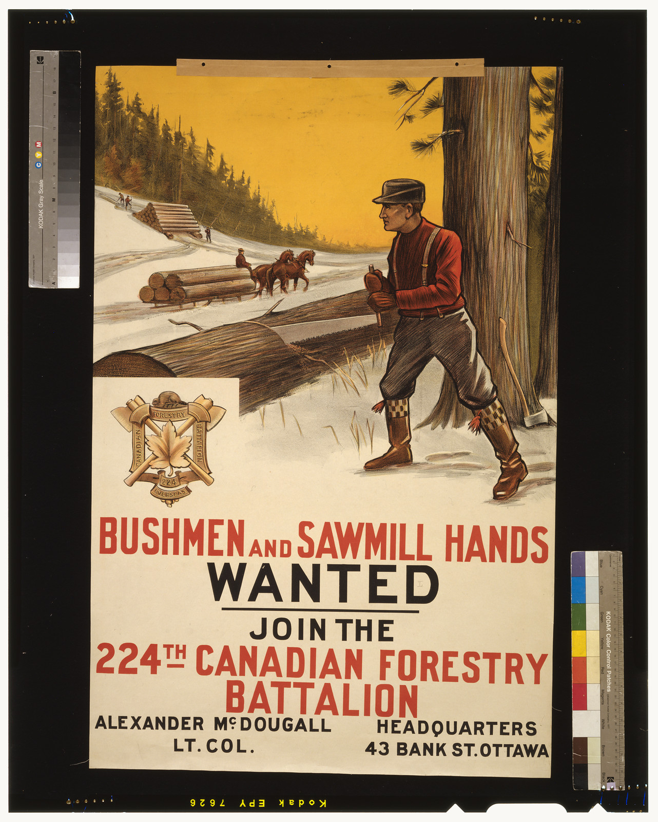 Bushmen and Sawmill Hands Wanted, Join the 224th Canadian Forestry Battalion, 1915 — historic image