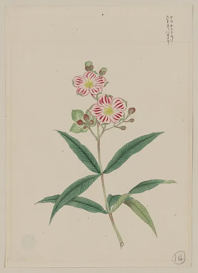 [Japanese drawing]