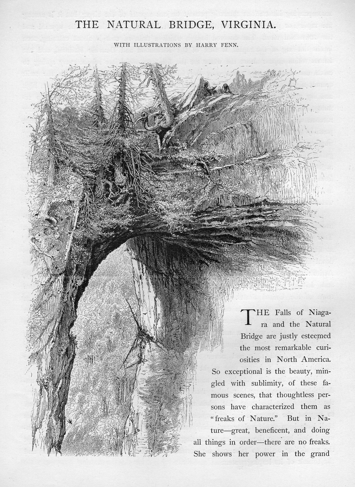 The Natural Bridge, Virginia, with illustrations by Harry Fenn — historic image