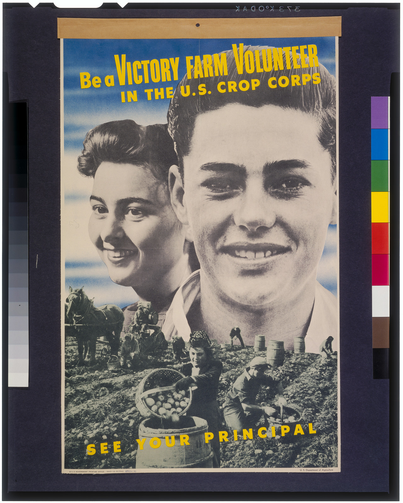 Be a victory farm volunteer in the U.S. Crop Corps--See your principal, 1943 — vintage poster
