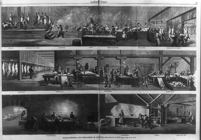 Hog-slaughtering and pork-packing in Cincinnati