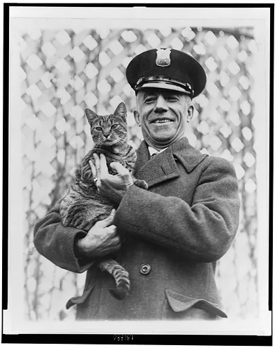 Tige" the White House cat and pet of Mrs. Coolidge has been returned"