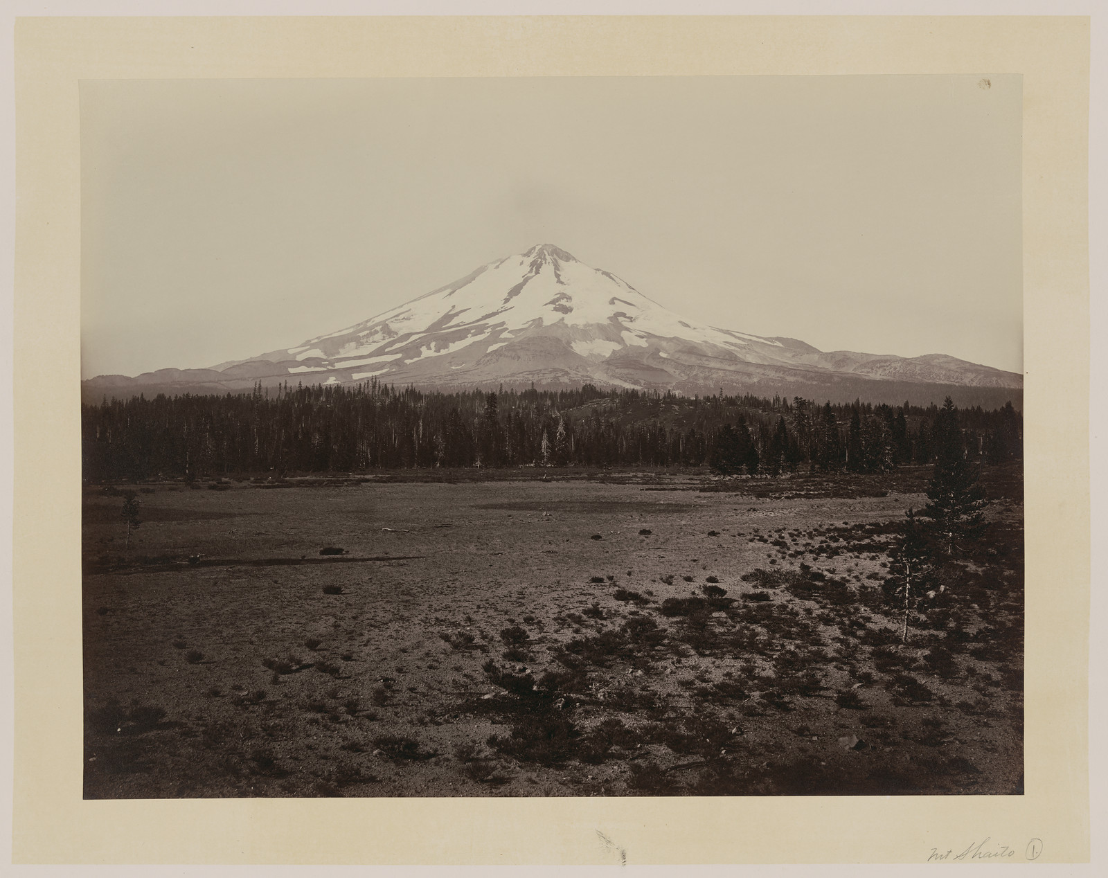 Mount Shasta across open meadow, sepia photograph — historic photograph