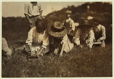 Showing pickers at Swift's Bog. Location: Falmouth [vicinity] - Swift's Bog, Massachusetts.