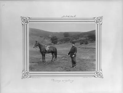 [The drill of the horse with halter] / Constantinople, Abdullah Frères.