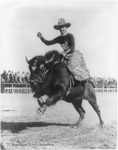 [Vern Elliott on bucking buffalo at Cheyenne Frontier Days]