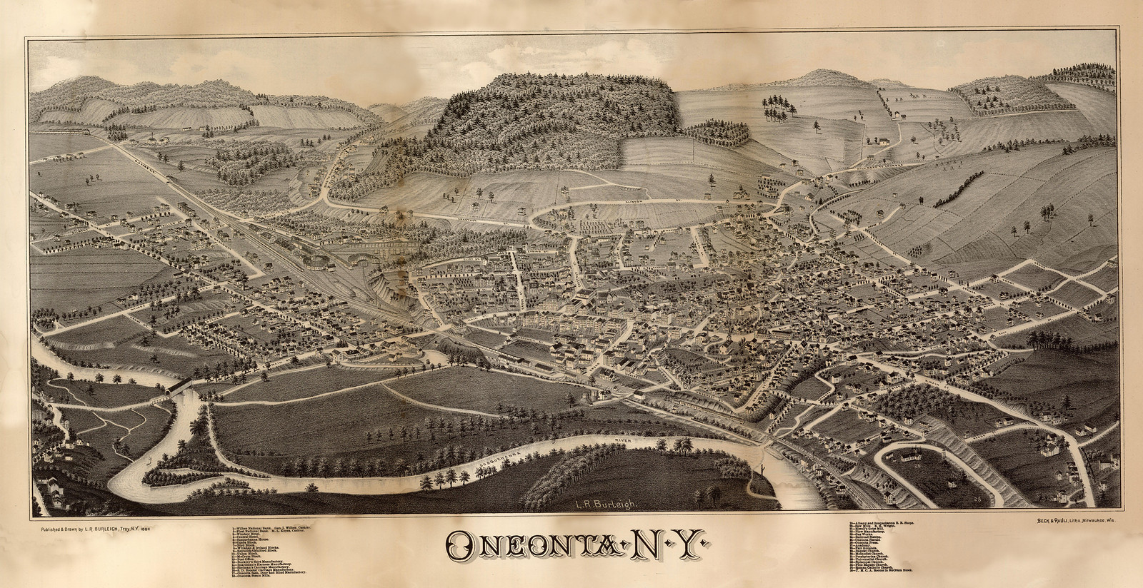Oneonta, New York, 1884, 1884 — antique map