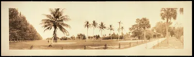 Royal Poinciana Palm Beach, Florida, 1912