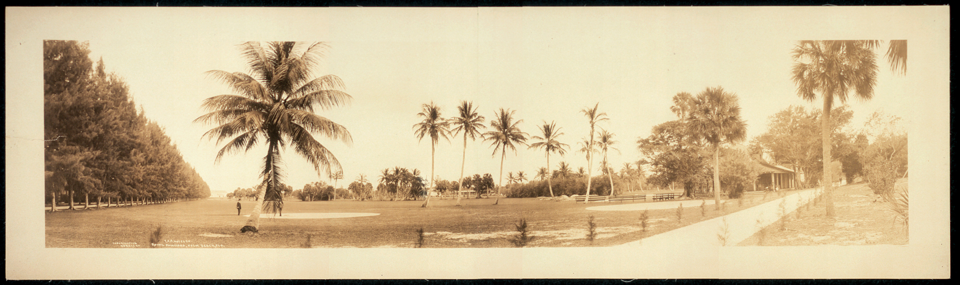 Royal Poinciana Palm Beach, Florida, 1912, 1912 — historic image