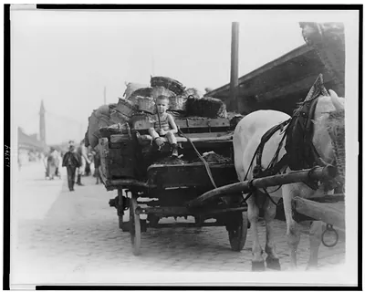 [Boy driving horse-drawn wagon loaded with baskets, Hungary]