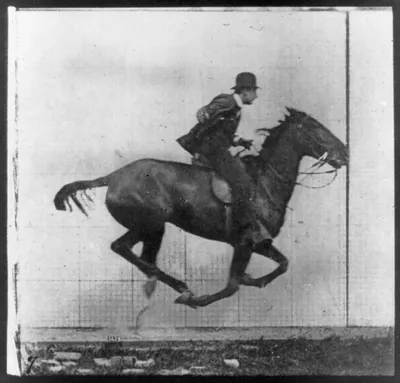 [Single frame showing horse with all four legs off the ground]