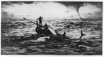 In the South Pacific / Hans Kleiber.