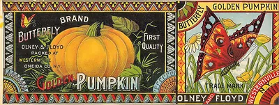 Golden Pumpkin Butterfly Brand Crate Label, Olney & Floyd