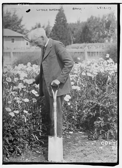 Luther Burbank