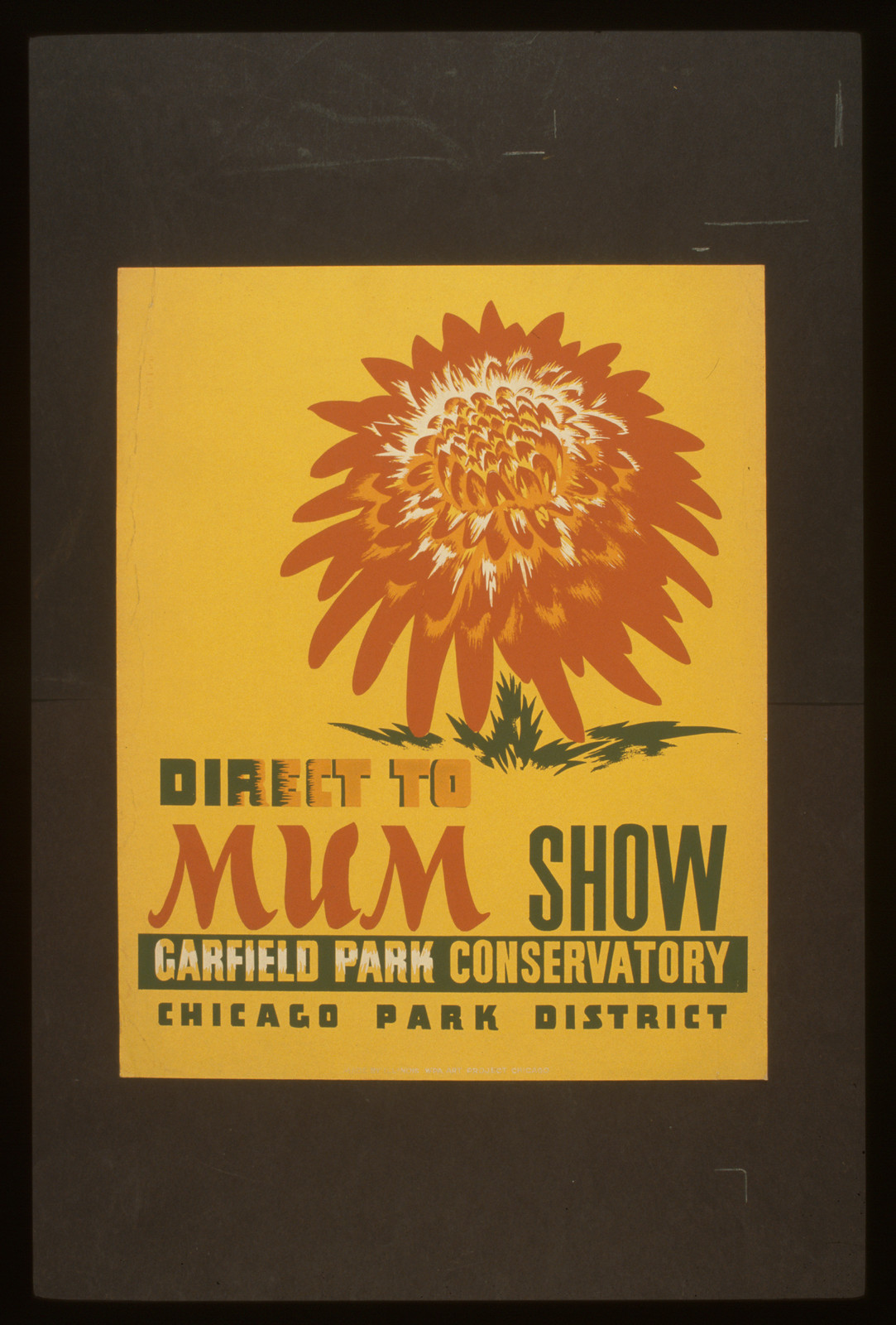 Direct to mum show Garfield Park Conservatory / Whitley., 1936 — vintage poster