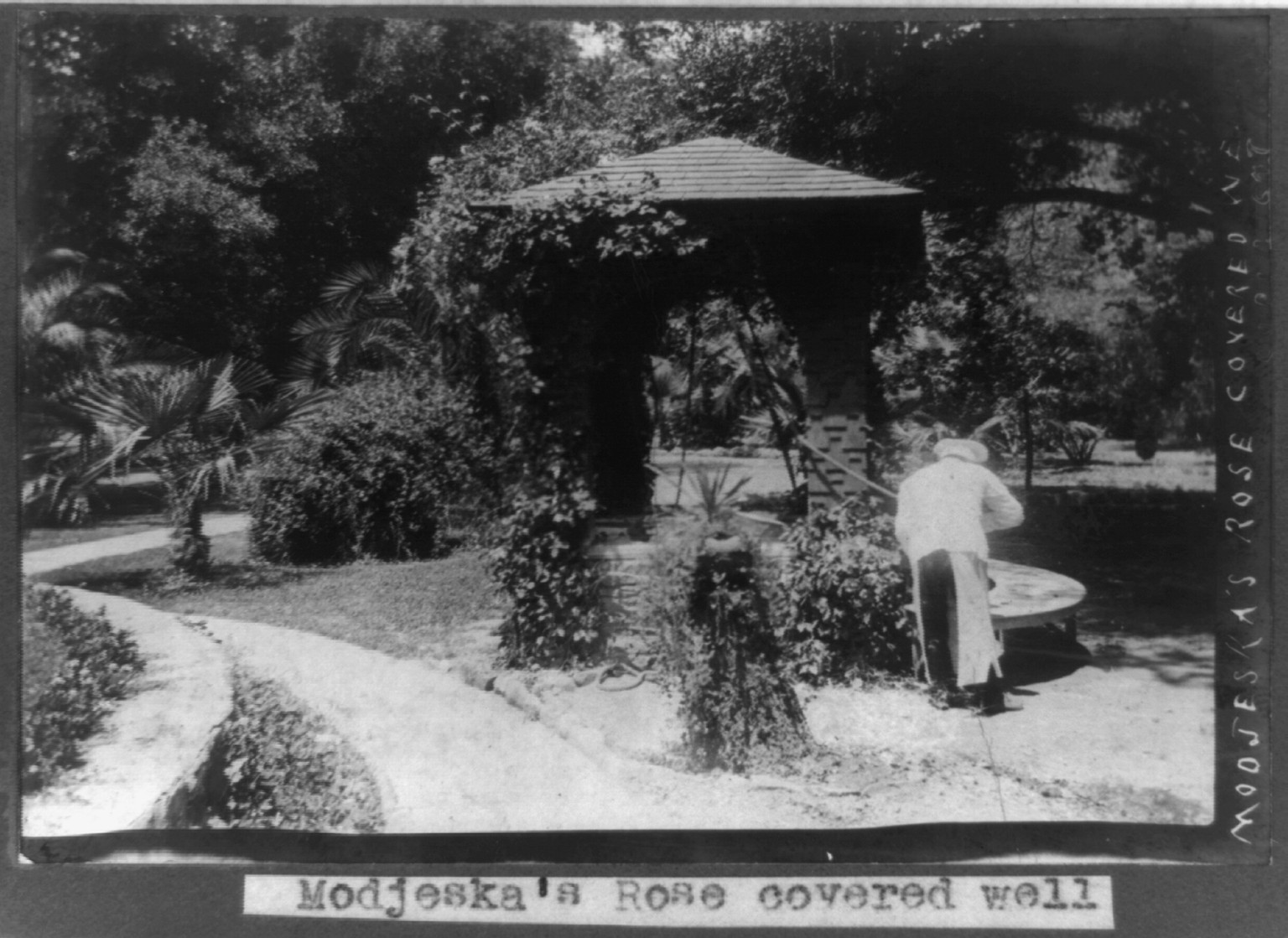 Modjeska's rose covered well, c1909. — historic photograph