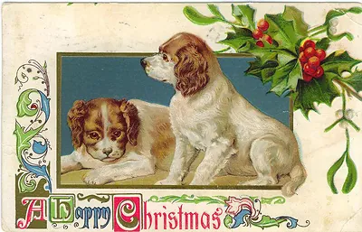 Happy Christmas postcard with two spaniel dogs and holly