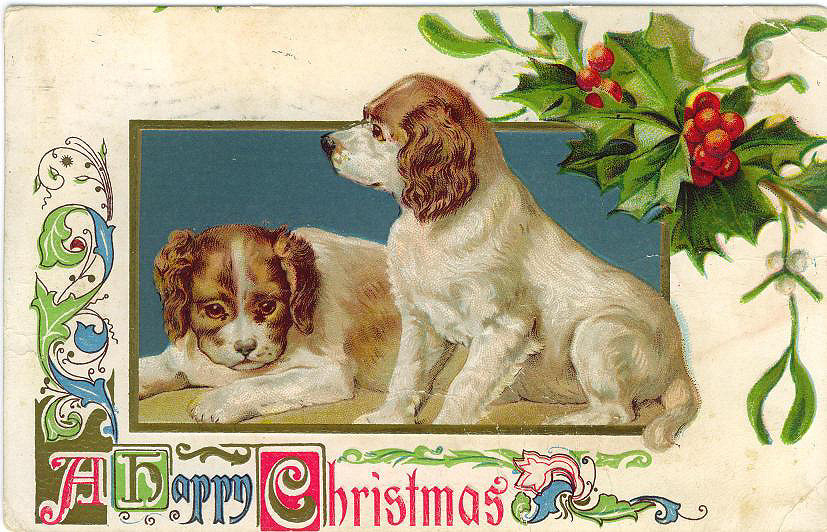 Happy Christmas postcard with two spaniel dogs and holly — vintage postcard