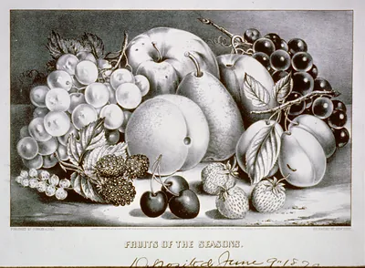 Fruits of the seasons