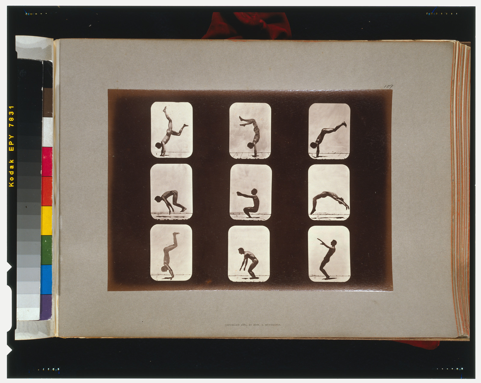 Athletes. Flip flap, [San Francisco] : Muybridge, c1881. — historic photograph