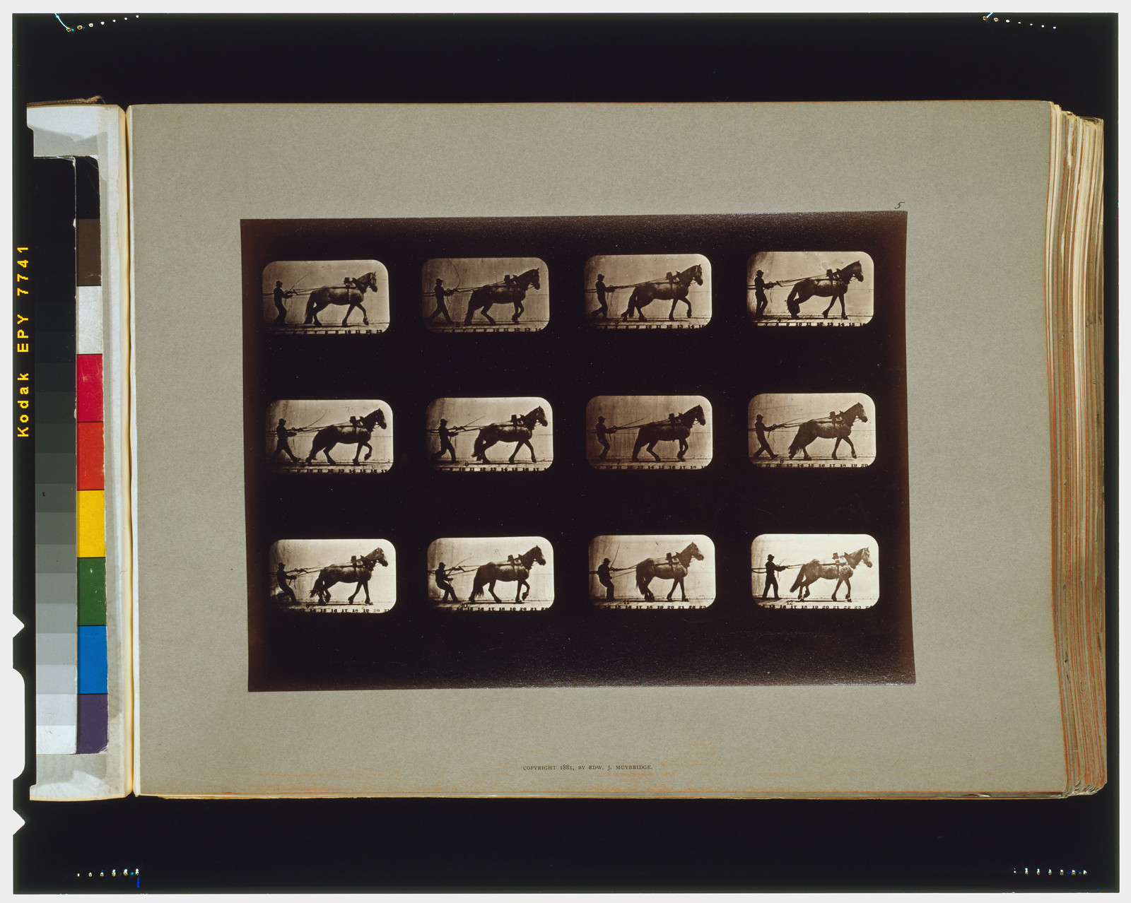 Horses. Irregular, [San Francisco] : Muybridge, c1881. — historic photograph
