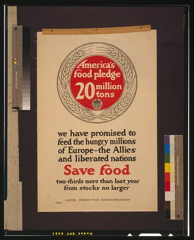 America's food pledge, 20 million tons / The Carey Printing Company, New York.
