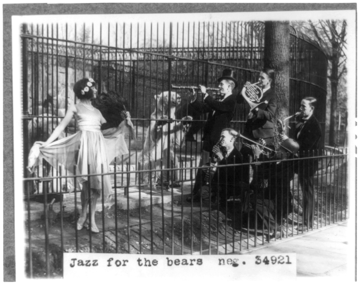 Jazz for the bears, [between 1920 and 1932] — historic photograph