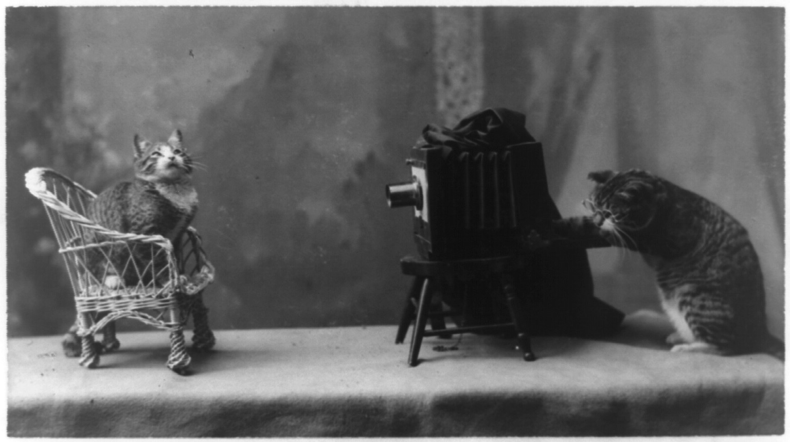 In the Rogue's Gallery, c1898. — historic photograph