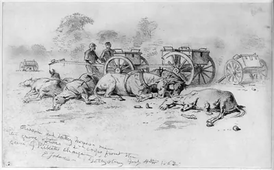 Caisson and battery horses - near the grove of trees; scene of Picketts charge