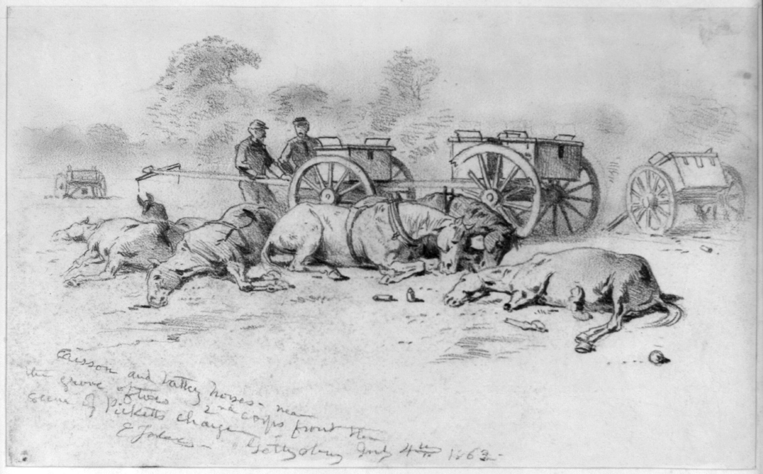 Caisson and battery horses - near the grove of trees; scene of Picketts charge, 1863 July 4. — historic drawing