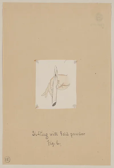 [Japanese drawing]