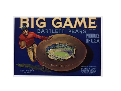 Big Game Bartlett Pears crate label with football and stadium