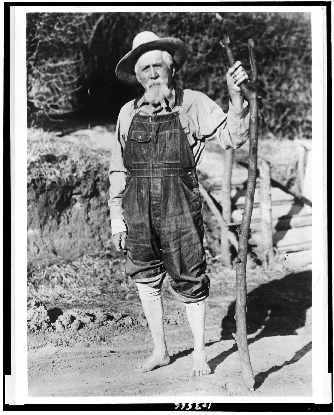 Antique Photo Print - The Original barefoot boy. Rev — historic print