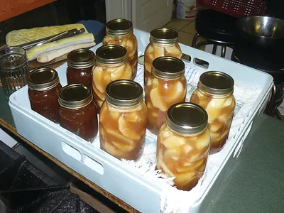 Home-canned apple slices and fruit preserves in glass jars