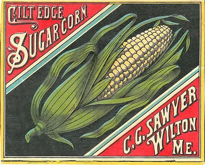 Gilt Edge Sugar Corn can label, C.G. Sawyer, Wilton Me.